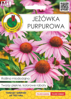 JEŻÓWKA Purpurowa