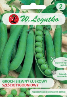 Groch Sześciotygodniowy 40g