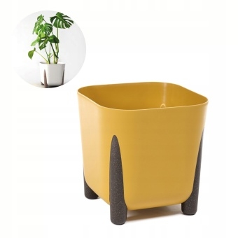 Donica Kwadratowa Frida Musztarda