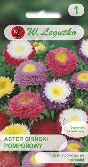 ASTER Chiński POMPONOWY 