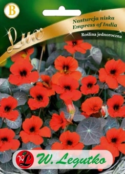 Nasturcja Niska 5g
