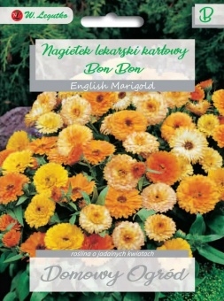 Nagietek Lekarski Karłowy Bon Bon