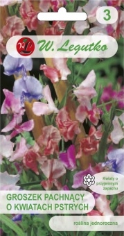 Groszek Pachnący O Kwiatach Pstrych 3g