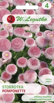 STOKROTKA Pomponette
