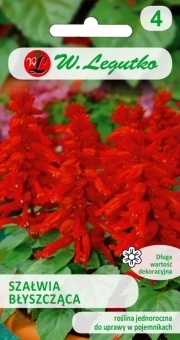 Szałwia Błyszcząca Czerwona 0,5g 