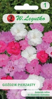 GOŹDZIK Pierzasty 0,5g