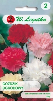 GOŹDZIK Ogrodowy 0,5g