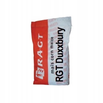 RGT DUXXBURY materiał siewny kukurydzy ziarno i kiszonka