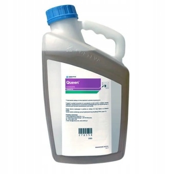 Queen 5L Corteva Innowacyjny fungicyd ochrony zbóż brunatna plamistość