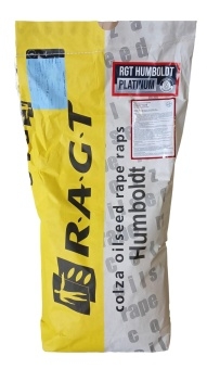 Materiał siewny rzepaku ozimego RGT F1 Humboldt 1,5mln nasion (SCENIC GOLD)