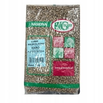 Łubin wąskolistny gorzki NASIONA POPLON 1KG GRANUM