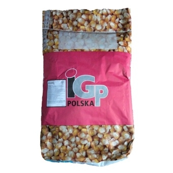 Nasiona kukurydza Codizouk FAO 270 IGP 50.000 nasion odmiana na kiszonkę