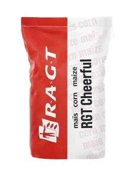 Materiał siewny Kukurydzy RAGT RGT CHEERFUL F1