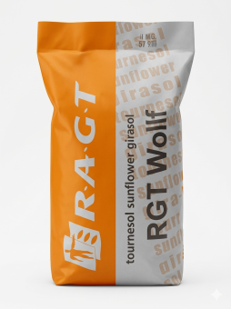 RGT Wollf materiał siewny słonecznika
