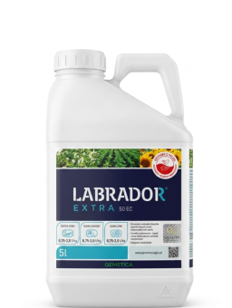 Labrador Extra 50 EC 5L chizalofop-P etylowy