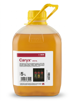 Caryx 240SL 5L chlorek mepikwatu metkonazol