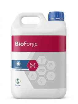 BioForge 5L nawóz mineralny NK