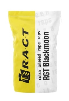 Materiał siewny rzepaku ozimego RGT BlackMoon F1 (Buteo Start + Scenic Gold)