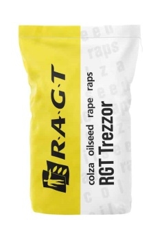 Materiał siewny rzepaku ozimego Trezzor F1 (Buteo Start+ Scenic Gold)