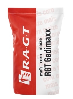 Materiał siewny kukurydzy RAGT RGT Gedimaxx F1 