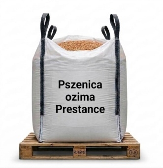 Pszenica ozima PRESTANCE – oścista 2x500kg